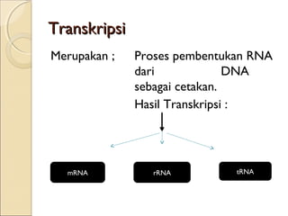 TranskripsiTranskripsi
Merupakan ; Proses pembentukan RNA
dari DNA
sebagai cetakan.
Hasil Transkripsi :
mRNA rRNA tRNA
 