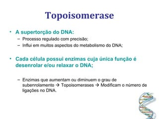 Topoisomerase
• A supertorção do DNA:
– Processo regulado com precisão;
– Influi em muitos aspectos do metabolismo do DNA;
• Cada célula possui enzimas cuja única função é
desenrolar e/ou relaxar o DNA;
– Enzimas que aumentam ou diminuem o grau de
subenrolamento  Topoisomerases  Modificam o número de
ligações no DNA.
 
