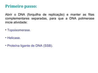 Primeiro passo:
Abrir o DNA (forquilha de replicação) e manter as fitas
complementares separadas, para que a DNA polimerase
inicie atividade:
• Topoisomerase.
• Helicase.
• Proteína ligante de DNA (SSB).
 