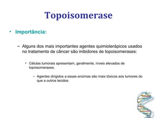 Topoisomerase
• Importância:
– Alguns dos mais importantes agentes quimioterápicos usados
no tratamento de câncer são inibidores de topoisomerases:
• Células tumorais apresentam, geralmente, níveis elevados de
topoisomerases;
– Agentes dirigidos a essas enzimas são mais tóxicos aos tumores do
que a outros tecidos.
 