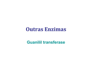 Outras Enzimas
Guanilil transferase
 