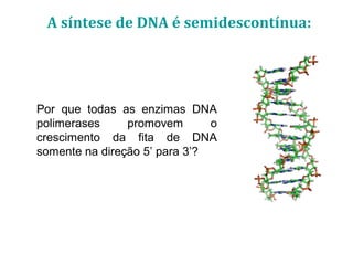 Por que todas as enzimas DNA
polimerases promovem o
crescimento da fita de DNA
somente na direção 5’ para 3’?
A síntese de DNA é semidescontínua:
 