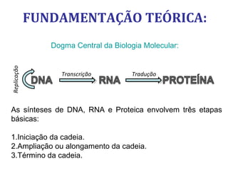 FUNDAMENTAÇÃO TEÓRICA:
Dogma Central da Biologia Molecular:
Tradução
Replicação
Transcrição
As sínteses de DNA, RNA e Proteica envolvem três etapas
básicas:
1.Iniciação da cadeia.
2.Ampliação ou alongamento da cadeia.
3.Término da cadeia.
 