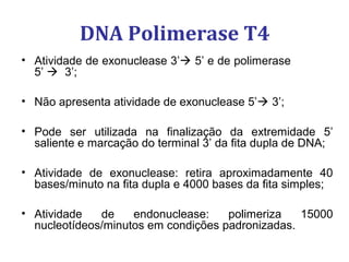 DNA Polimerase T4
• Atividade de exonuclease 3’ 5’ e de polimerase
5’  3’;
• Não apresenta atividade de exonuclease 5’ 3’;
• Pode ser utilizada na finalização da extremidade 5’
saliente e marcação do terminal 3’ da fita dupla de DNA;
• Atividade de exonuclease: retira aproximadamente 40
bases/minuto na fita dupla e 4000 bases da fita simples;
• Atividade de endonuclease: polimeriza 15000
nucleotídeos/minutos em condições padronizadas.
 
