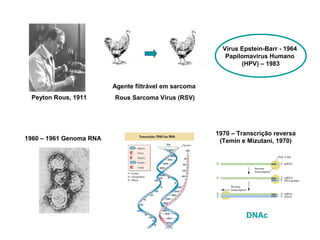 Vírus Epstein-Barr - 1964
Papilomavírus Humano
(HPV) – 1983
Peyton Rous, 1911
Agente filtrável em sarcoma
Rous Sarcoma Virus (RSV)
1960 – 1961 Genoma RNA
1970 – Transcrição reversa
(Temin e Mizutani, 1970)
DNAc
 