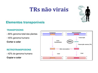 TRs não virais
TRANSPOSONS
- 80% genoma total das plantas
- 45% genoma humano
Cortar e colar
RETROTRANSPOSONS
- 42% do genoma humano
Copiar e colar
Elementos transponíveis
 