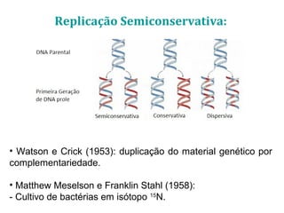 Replicação Semiconservativa:
• Watson e Crick (1953): duplicação do material genético por
complementariedade.
• Matthew Meselson e Franklin Stahl (1958):
- Cultivo de bactérias em isótopo 15
N.
 