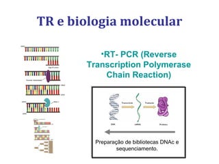 TR e biologia molecular
•RT- PCR (Reverse
Transcription Polymerase
Chain Reaction)
Preparação de bibliotecas DNAc e
sequenciamento.
 