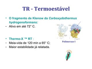 • O fragmento de Klenow da Carboxydothermus
hydrogenoformans:
- Ativo em até 72° C.
• Thermo-X ™ RT :
- Meia-vida de 120 min a 65° C;
- Maior estabilidade já relatada.
TR - Termoestável
Polimerase I
 