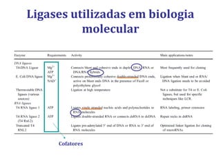 Ligases utilizadas em biologia
molecular
Cofatores
 