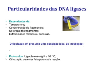Particularidades das DNA ligases
• Dependentes de:
- Temperatura;
- Concentração de fragmentos;
- Natureza dos fragmentos;
- Extremidades rombas ou coesivas.
Dificuldade em presumir uma condição ideal de incubação!
.
• Protocolos: Ligação overnight a 16 ° C;
• Otimização deve ser feita para cada reação.
 