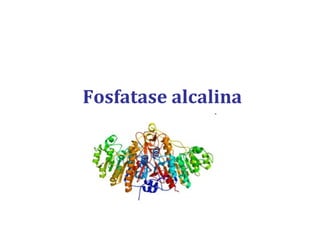 Fosfatase alcalina
 