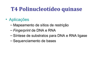 • Aplicações
– Mapeamento de sítios de restrição
– Fingerprint de DNA e RNA
– Síntese de substratos para DNA e RNA ligase
– Sequenciamento de bases
T4 Polinucleotídeo quinase
 