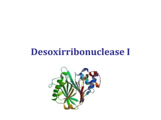 Desoxirribonuclease I
 