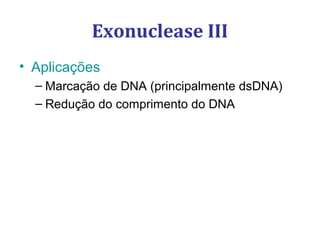 Exonuclease III
• Aplicações
– Marcação de DNA (principalmente dsDNA)
– Redução do comprimento do DNA
 