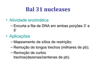 Bal 31 nucleases
• Atividade enzimática
– Encurta a fita de DNA em ambas porções 3’ e
5’
• Aplicações
– Mapeamento de sítios de restrição;
– Remoção de longos trechos (milhares de pb);
– Remoção de curtos
trechos(dezenas/centenas de pb).
 