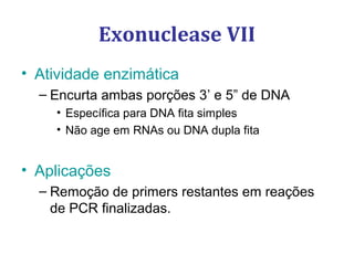 Exonuclease VII
• Atividade enzimática
– Encurta ambas porções 3’ e 5” de DNA
• Específica para DNA fita simples
• Não age em RNAs ou DNA dupla fita
• Aplicações
– Remoção de primers restantes em reações
de PCR finalizadas.
 