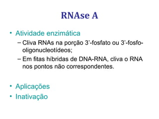 RNAse A
• Atividade enzimática
– Cliva RNAs na porção 3’-fosfato ou 3’-fosfo-
oligonucleotídeos;
– Em fitas híbridas de DNA-RNA, cliva o RNA
nos pontos não correspondentes.
• Aplicações
• Inativação
 
