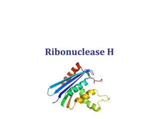 Ribonuclease H
 