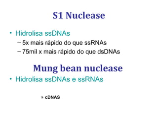 S1 Nuclease
• Hidrolisa ssDNAs
– 5x mais rápido do que ssRNAs
– 75mil x mais rápido do que dsDNAs
• Hidrolisa ssDNAs e ssRNAs
» cDNAS
Mung bean nuclease
 