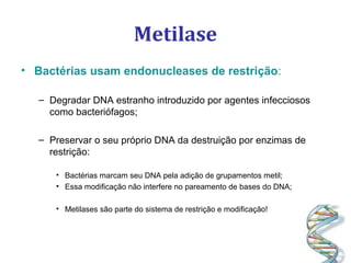 Metilase
• Bactérias usam endonucleases de restrição:
– Degradar DNA estranho introduzido por agentes infecciosos
como bacteriófagos;
– Preservar o seu próprio DNA da destruição por enzimas de
restrição:
• Bactérias marcam seu DNA pela adição de grupamentos metil;
• Essa modificação não interfere no pareamento de bases do DNA;
• Metilases são parte do sistema de restrição e modificação!
 