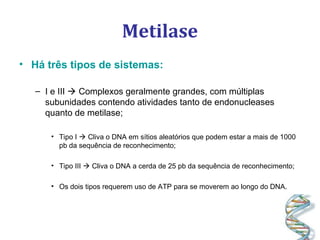 Metilase
• Há três tipos de sistemas:
– I e III  Complexos geralmente grandes, com múltiplas
subunidades contendo atividades tanto de endonucleases
quanto de metilase;
• Tipo I  Cliva o DNA em sítios aleatórios que podem estar a mais de 1000
pb da sequência de reconhecimento;
• Tipo III  Cliva o DNA a cerda de 25 pb da sequência de reconhecimento;
• Os dois tipos requerem uso de ATP para se moverem ao longo do DNA.
 