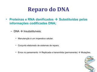 Reparo do DNA
• Proteínas e RNA danificados  Substituídas pelas
informações codificadas DNA;
– DNA  Insubstituíveis;
• Manutenção é um imperativo celular;
• Conjunto elaborado de sistemas de reparo;
• Erros no pareamento  Replicada e transmitida (permanente)  Mutações.
 