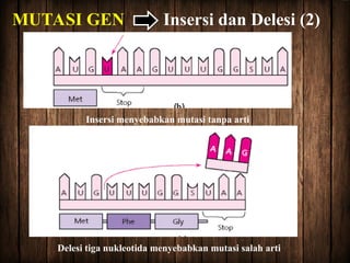 Comprehensive Overview of Genetic Mutations: Types, Causes, and Human ...
