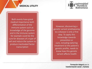 MEDICAL UTILITY
Both events have great
medical importance both
differentiation of the
immune system such as
knowledge of the genome
and in the immune system
for example could be the
cure for diseases of a type of
cell and induce the system to
produce inactivated factor
transcription
However, discovering a
genetic variant predisposing
to a disease is only a first
step. To apply this
knowledge towards
prevention or
cure, including tailoring
treatment to the patient's
genetic profile, needs to
know how this genetic
variant affects health
 