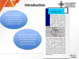 Introduction
The transcription is the
process responsable to
the sintesis of the
molecular of RNA from
the genetic information
contained in a DNA.
This point is important
because the different
s trancriptions factors
can to change the
response on the cell.
 