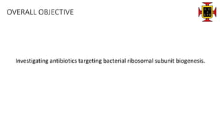 OVERALL OBJECTIVE
Investigating antibiotics targeting bacterial ribosomal subunit biogenesis.
 