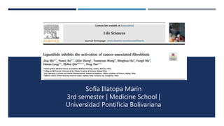 Sofía Illatopa Marín
3rd semester | Medicine School |
Universidad Pontificia Bolivariana
 