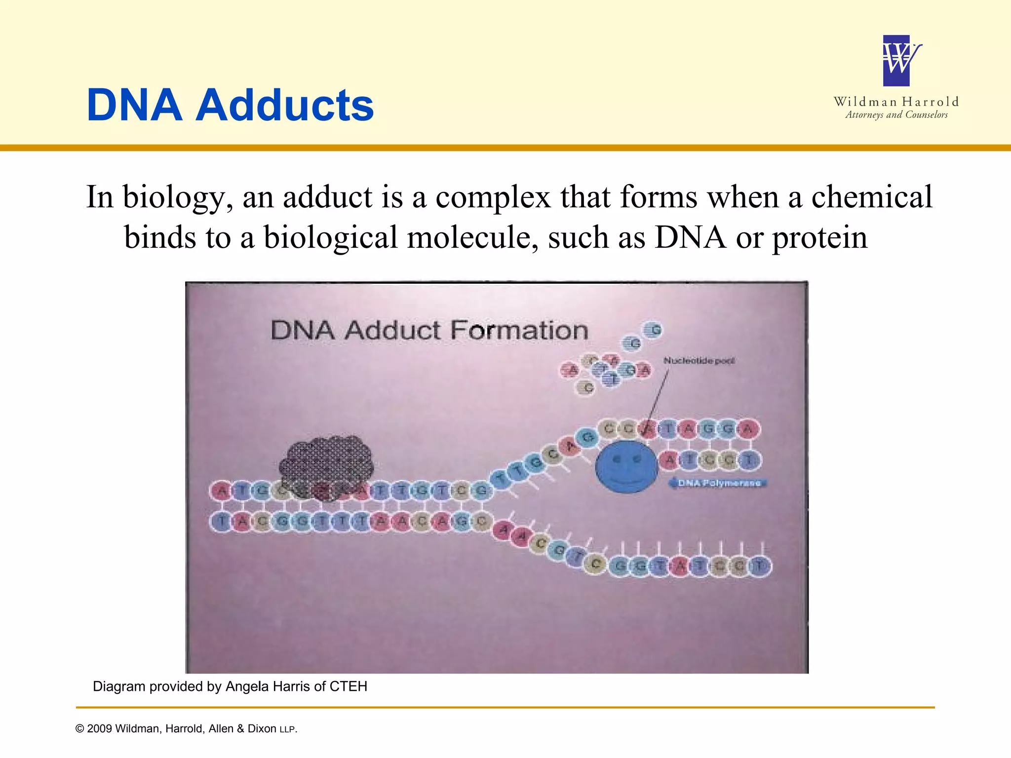 DNA Adducts In biology, an adduct is a complex that forms when a chemical binds to a biological molecule, such as DNA or protein Diagram provided by Angela Harris of CTEH 