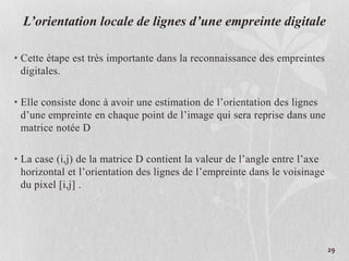 L’orientation locale de lignes d’une empreinte digitale
• Cette étape est très importante dans la reconnaissance des empreintes
digitales.
• Elle consiste donc à avoir une estimation de l’orientation des lignes
d’une empreinte en chaque point de l’image qui sera reprise dans une
matrice notée D
• La case (i,j) de la matrice D contient la valeur de l’angle entre l’axe
horizontal et l’orientation des lignes de l’empreinte dans le voisinage
du pixel [i,j] .
29
 