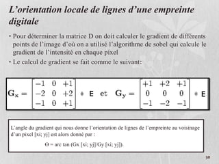 L’orientation locale de lignes d’une empreinte
digitale
• Pour déterminer la matrice D on doit calculer le gradient de différents
points de l’image d’où on a utilisé l’algorithme de sobel qui calcule le
gradient de l’intensité en chaque pixel
• Le calcul de gradient se fait comme le suivant:
30
L’angle du gradient qui nous donne l’orientation de lignes de l’empreinte au voisinage
d’un pixel [xi; yj] est alors donné par :
Ө = arc tan (Gx [xi; yj]/Gy [xi; yj]).
 