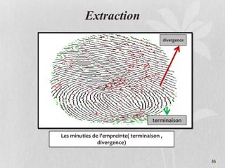 Extraction
divergence
terminaison
Les minuties de l’empreinte( terminaison ,
divergence)
35
 