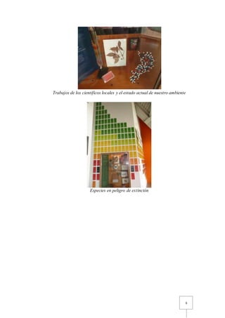 6
Trabajos de los científicos locales y el estado actual de nuestro ambiente
Especies en peligro de extinción
 