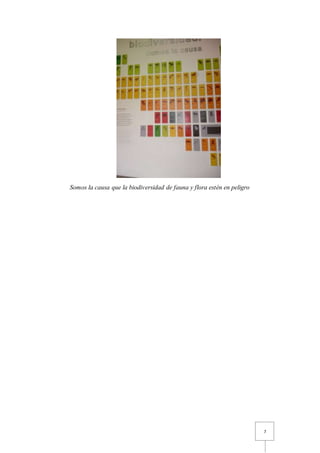 7
Somos la causa que la biodiversidad de fauna y flora estén en peligro
 