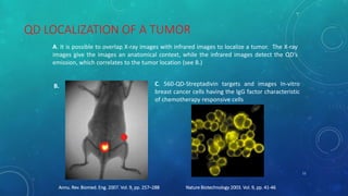 QD LOCALIZATION OF A TUMOR 
A. It is possible to overlap X-ray images with infrared images to localize a tumor. The X-ray 
images give the images an anatomical context, while the infrared images detect the QD’s 
emission, which correlates to the tumor location (see B.) 
B. C. 560-QD-Streptadivin targets and images In-vitro 
breast cancer cells having the IgG factor characteristic 
of chemotherapy responsive cells 
Annu. Rev. Biomed. Eng. 2007. Vol. 9, pp. 257–288 
Nature Biotechnology 2003. Vol. 9, pp. 41-46 
11 
 