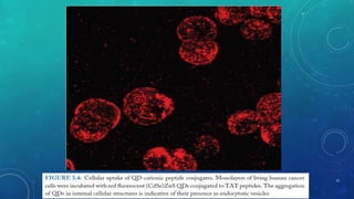 12 
Mehdi Soleymani Goloujeh 
Medical Nanotechnology Department 
 