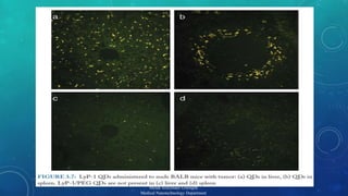 15 
Mehdi Soleymani Goloujeh 
Medical Nanotechnology Department 
 