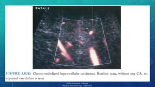 17 
Mehdi Soleymani Goloujeh 
Medical Nanotechnology Department 
 