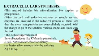 •This method includes bio mineralization, bio sorption or
precipitation.
•When the cell wall reductive enzymes or soluble secreted
enzymes are involved in the reductive process of metal ions
then the metal nanoparticles are extracellularly secreted. With
the change in ph of the solution, various shapes and sizes were
formed.
•The culture supernatants of
Enterobactericeae like Klebsiella pneumonia,
E.coli, Enterobacter cloaceae rapidly
synthesize silver nanoparticles by reducing
Ag + to Ag.
EXTRACELLULAR SYNTHESIS:
 