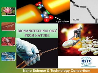 Bionanotechnology from Nature  Bionanotechnology from Nature  