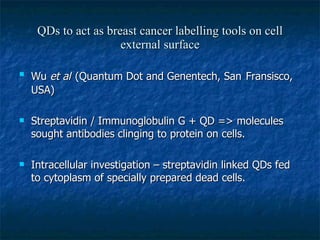 QDs to act as breast cancer labelling tools on cell external surface Wu  et al   (Quantum Dot and Genentech, San   Fransisco, USA) Streptavidin / Immunoglobulin G + QD => molecules sought antibodies clinging to protein on cells. Intracellular investigation – streptavidin linked QDs fed to cytoplasm of specially prepared dead cells. 