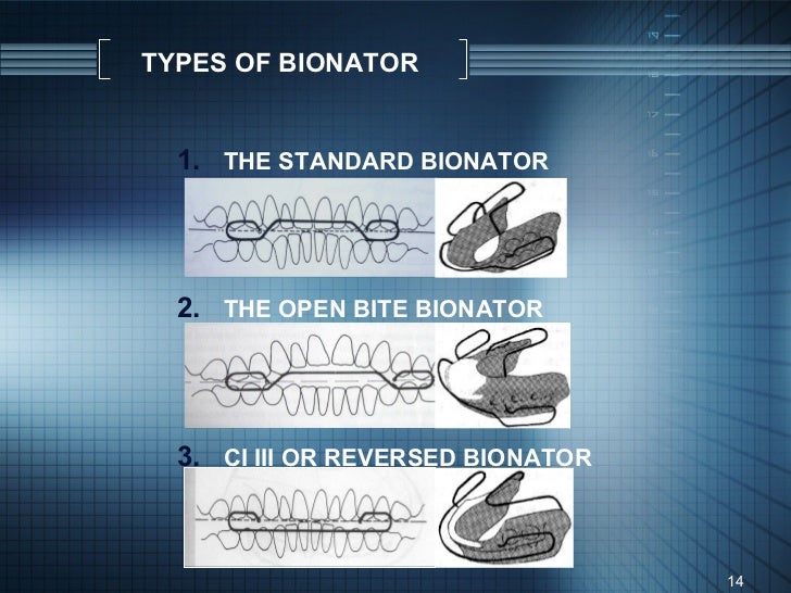 Bionator