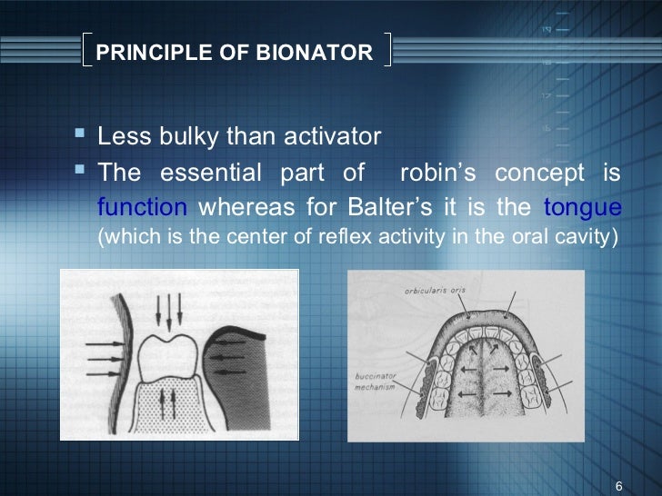 Bionator