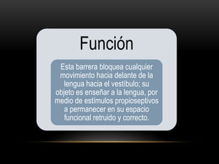Función
Esta barrera bloquea cualquier
movimiento hacia delante de la
lengua hacia el vestíbulo; su
objeto es enseñar a la lengua, por
medio de estímulos propioseptivos
a permanecer en su espacio
funcional retruido y correcto.
 