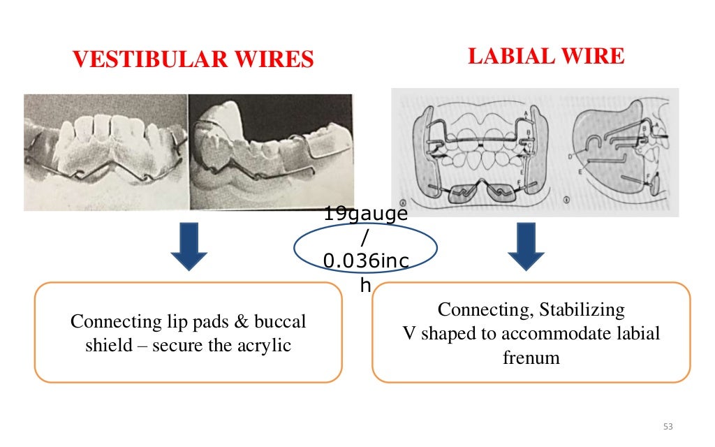 Bionator and frankel appliances in orthodontics