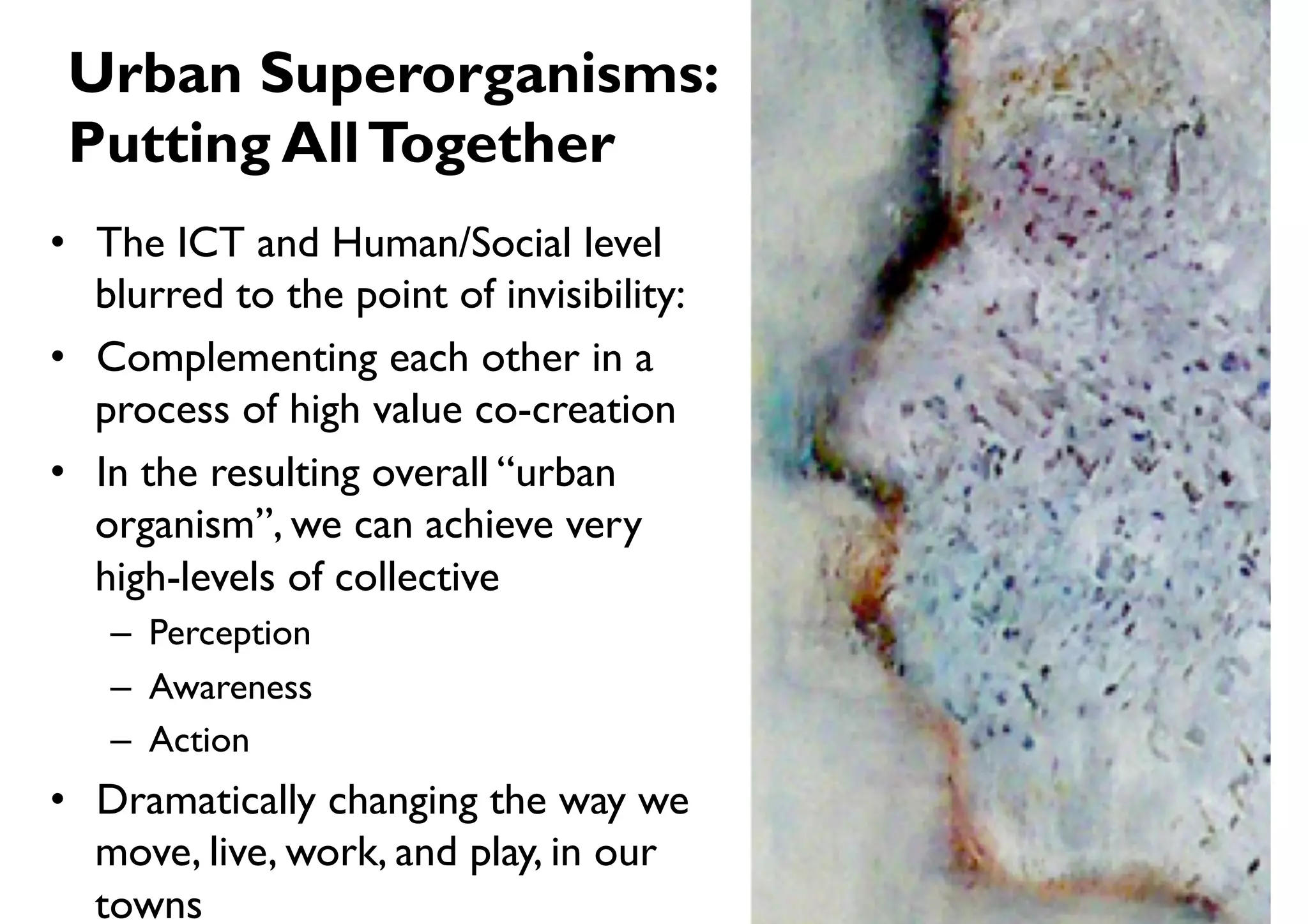 Urban Superorganisms:
 Putting All Together
•  The ICT and Human/Social level
   blurred to the point of invisibility:
•  Complementing each other in a
   process of high value co-creation
•  In the resulting overall “urban
   organism”, we can achieve very
   high-levels of collective
   –  Perception
   –  Awareness
   –  Action
•  Dramatically changing the way we
   move, live, work, and play, in our
   towns
 